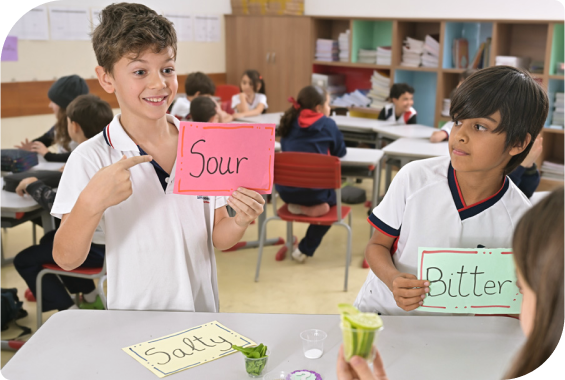 Parcerias internacionais